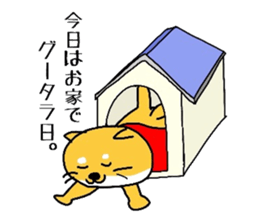 Shibaken HANA's story sticker #7148501