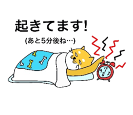 Shibaken HANA's story sticker #7148511