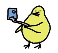 Chick party sticker #7149910