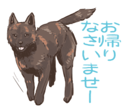 6 kinds of Japanese dog sticker sticker #7151567