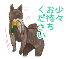 6 kinds of Japanese dog sticker sticker #7151570