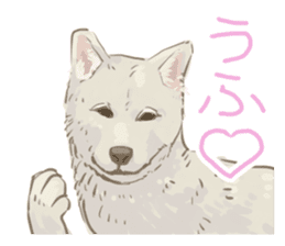 6 kinds of Japanese dog sticker sticker #7151572