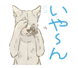 6 kinds of Japanese dog sticker sticker #7151573