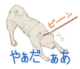 6 kinds of Japanese dog sticker sticker #7151575