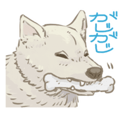 6 kinds of Japanese dog sticker sticker #7151577