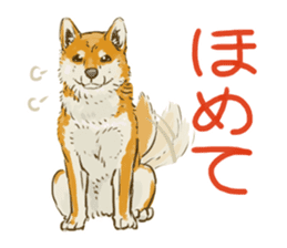 6 kinds of Japanese dog sticker sticker #7151580