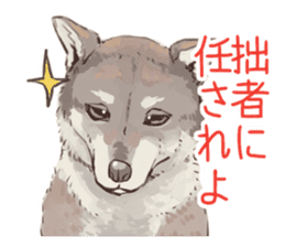 6 kinds of Japanese dog sticker sticker #7151588