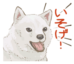 6 kinds of Japanese dog sticker sticker #7151590