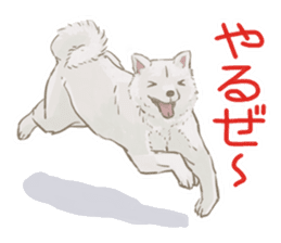 6 kinds of Japanese dog sticker sticker #7151592