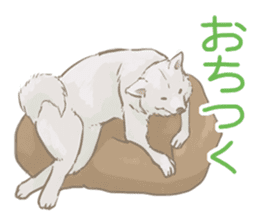 6 kinds of Japanese dog sticker sticker #7151595