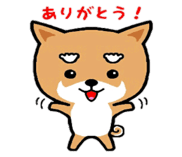 YuruShiba sticker #7151883