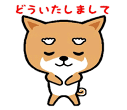 YuruShiba sticker #7151884
