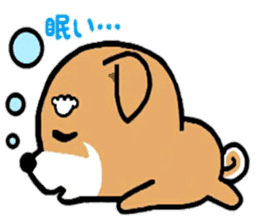 YuruShiba sticker #7151898