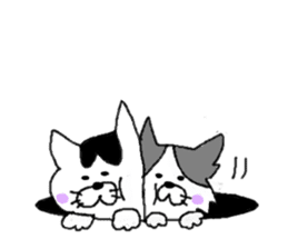 Puppy&kitty sticker #7153597