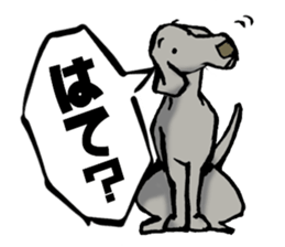 Pretty Weimaraners sticker #7156383