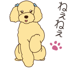 My sweetie,Toy poodle!! sticker #7157971