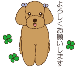 My sweetie,Toy poodle!! sticker #7157974