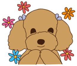 My sweetie,Toy poodle!! sticker #7157975