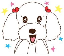 My sweetie,Toy poodle!! sticker #7157978
