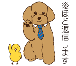 My sweetie,Toy poodle!! sticker #7157983