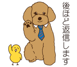 My sweetie,Toy poodle!! sticker #7157983