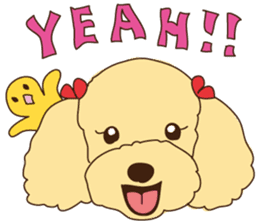 My sweetie,Toy poodle!! sticker #7157985