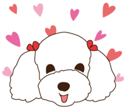 My sweetie,Toy poodle!! sticker #7157993
