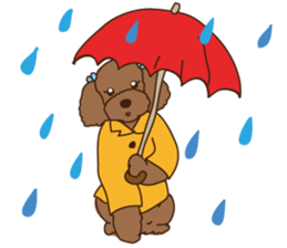 My sweetie,Toy poodle!! sticker #7158001