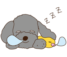 My sweetie,Toy poodle!! sticker #7158004