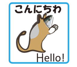 Invisible ink sticker #7158696