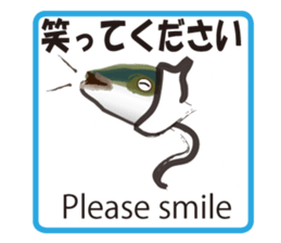 Invisible ink sticker #7158727