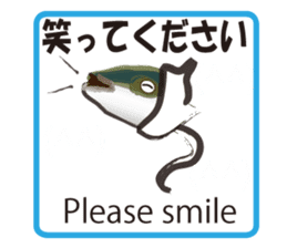 Invisible ink sticker #7158727