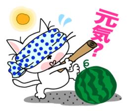 Communication of the cat / Summer sticker #7158781