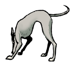 Every Dog sticker #7158948