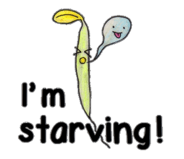 personalization of Vegetable n' Fruit EN sticker #7159502