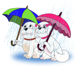 Bichon Buddy and Friends sticker #7159647