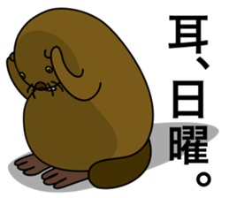 beaver!!!3rd sticker #7160800