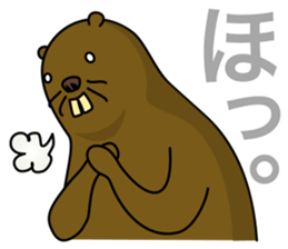 beaver!!!3rd sticker #7160807