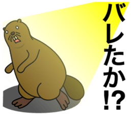 beaver!!!3rd sticker #7160825