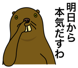 beaver!!!3rd sticker #7160830
