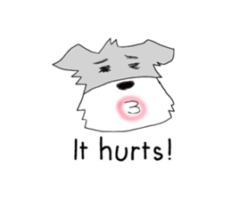 Schnauzer Jackie at the Marching Band sticker #7161906