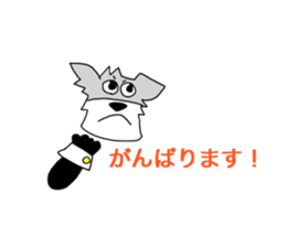 Schnauzer Jackie at the Marching Band sticker #7161909