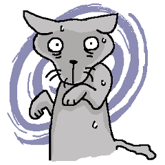 He is a cat named Gal 2