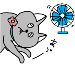 Cat lover's day-to-day Sticker sticker #7163014