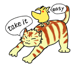 Kitten and cockatiel sticker #7168698