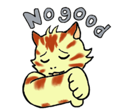 Kitten and cockatiel sticker #7168700