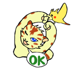 Kitten and cockatiel sticker #7168701