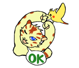 Kitten and cockatiel sticker #7168701