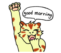 Kitten and cockatiel sticker #7168710