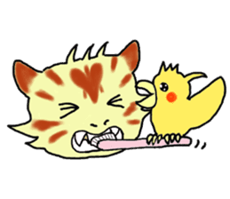 Kitten and cockatiel sticker #7168716